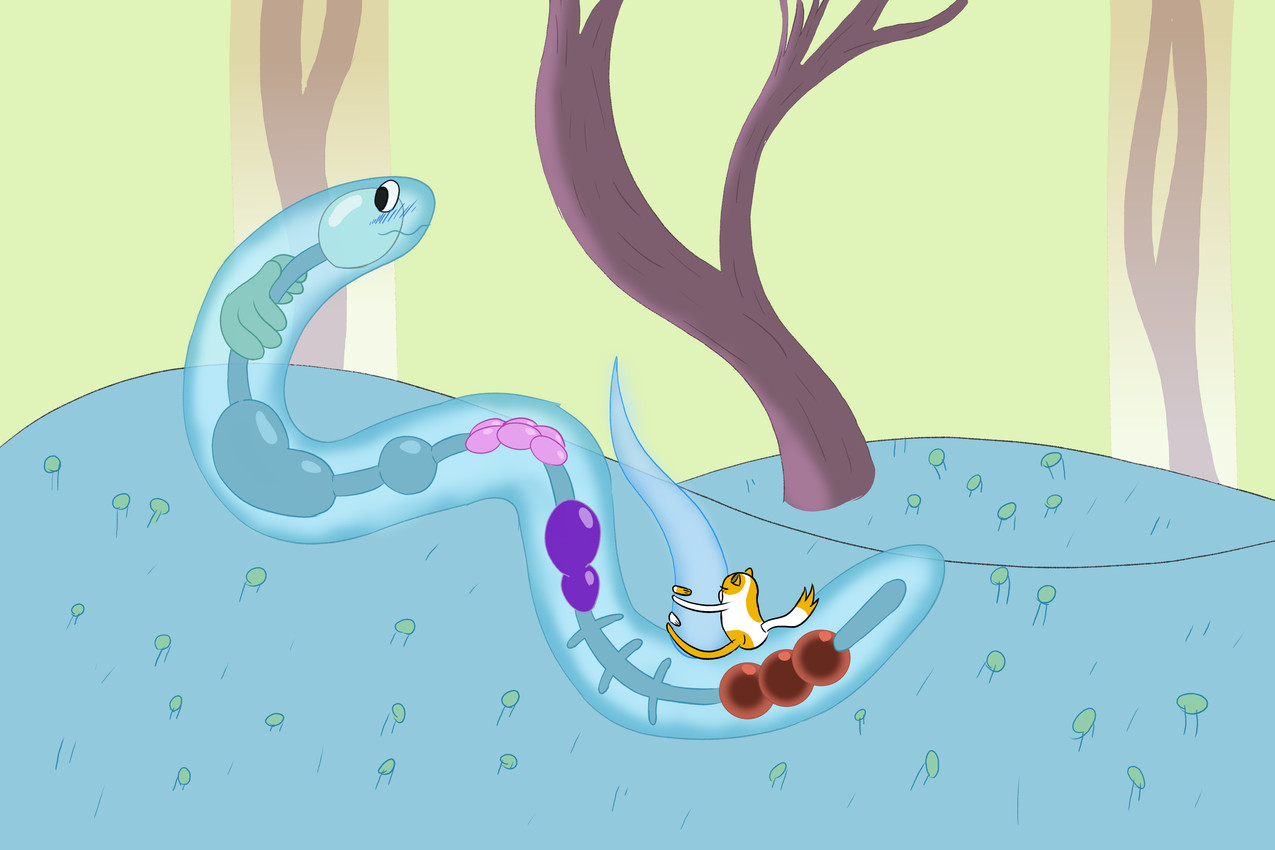 cake the cat and karmic worm (fionna and cake (franchise) and etc) created by fennix2000