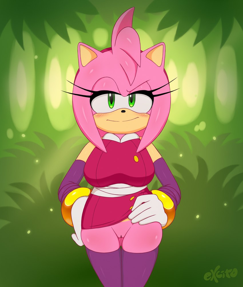 amy rose (sonic the hedgehog (series) and etc) created by excito