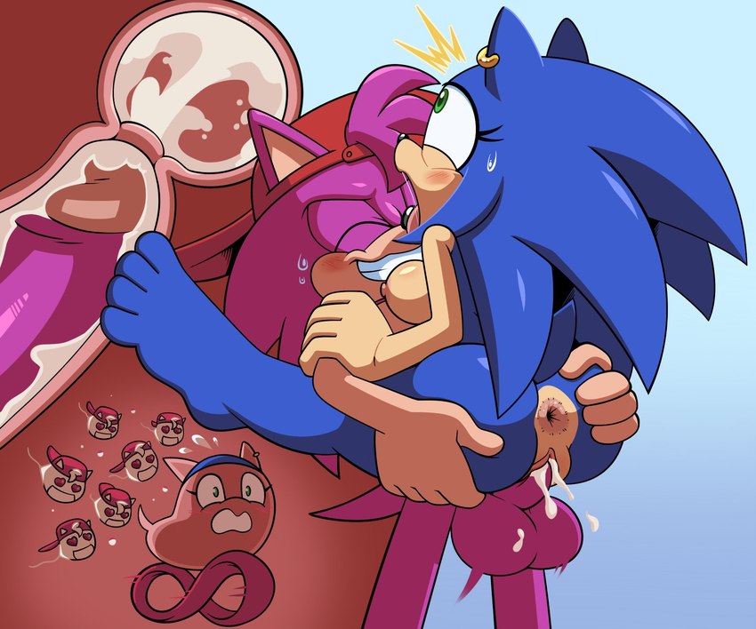 amy rose and sonic the hedgehog (sonic the hedgehog (series) and etc) created by hyoumaru