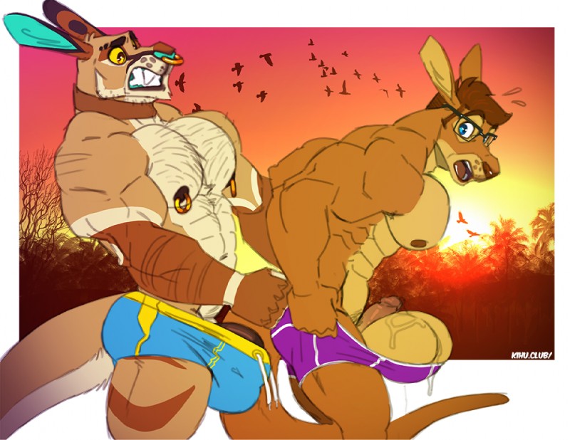 banjo and dangaroo created by kihu