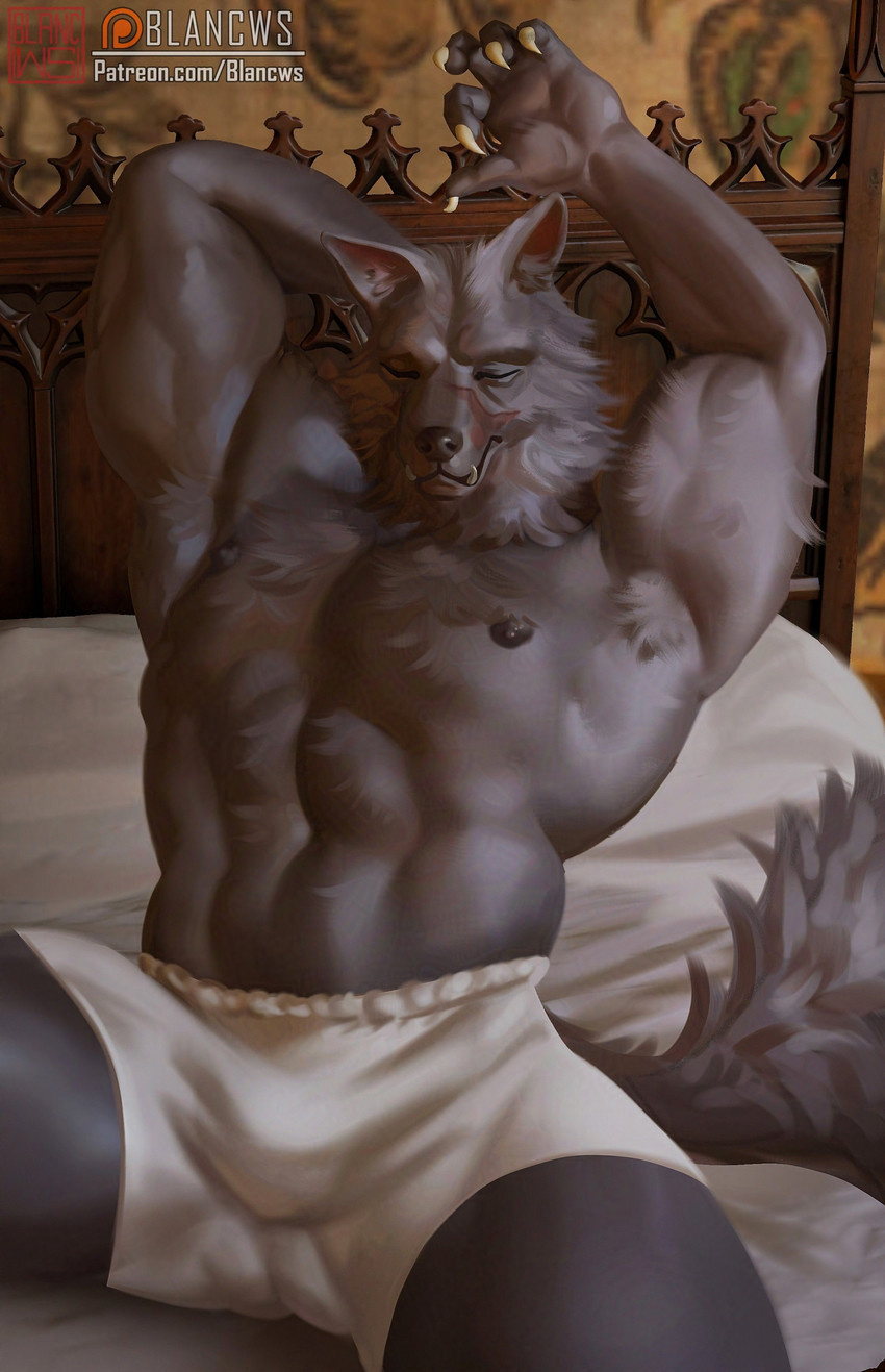 blaidd (fromsoftware and etc) created by blancws