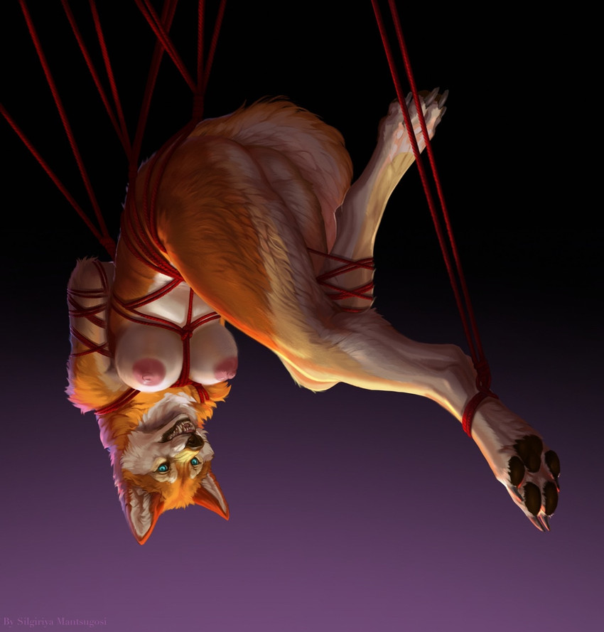 created by silgiriya mantsugosi