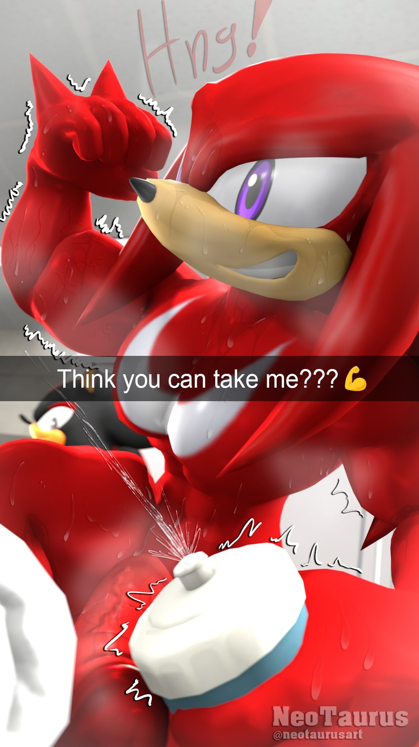 knuckles the echidna and shadow the hedgehog (sonic the hedgehog (series) and etc) created by neotaurus