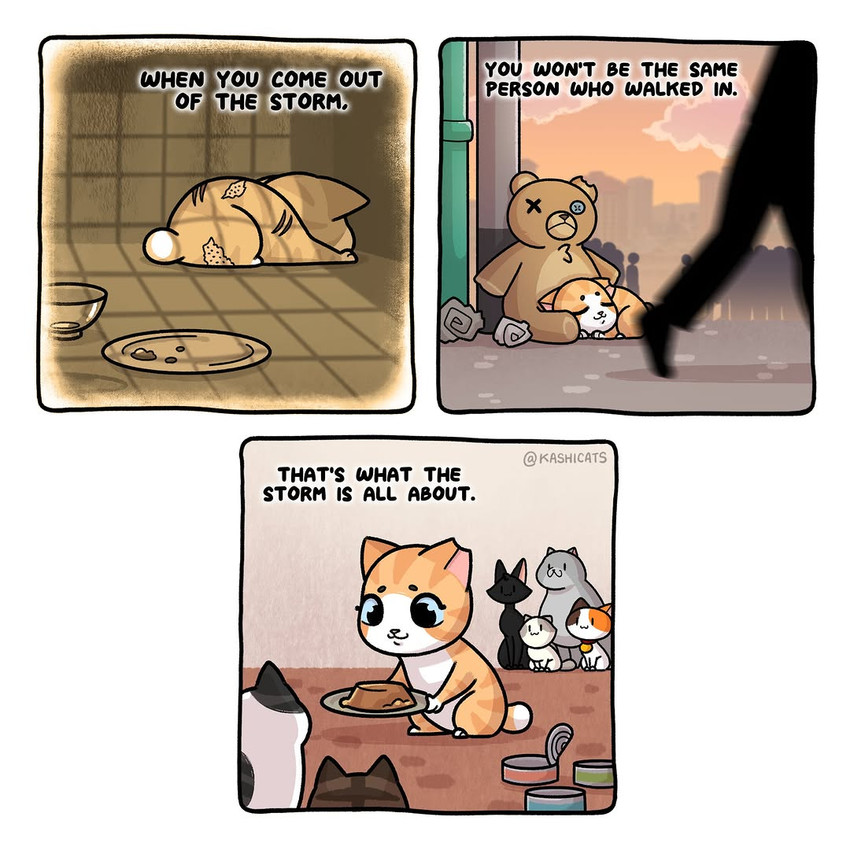 bru, butter, cali, mido, and mochi created by kashicats