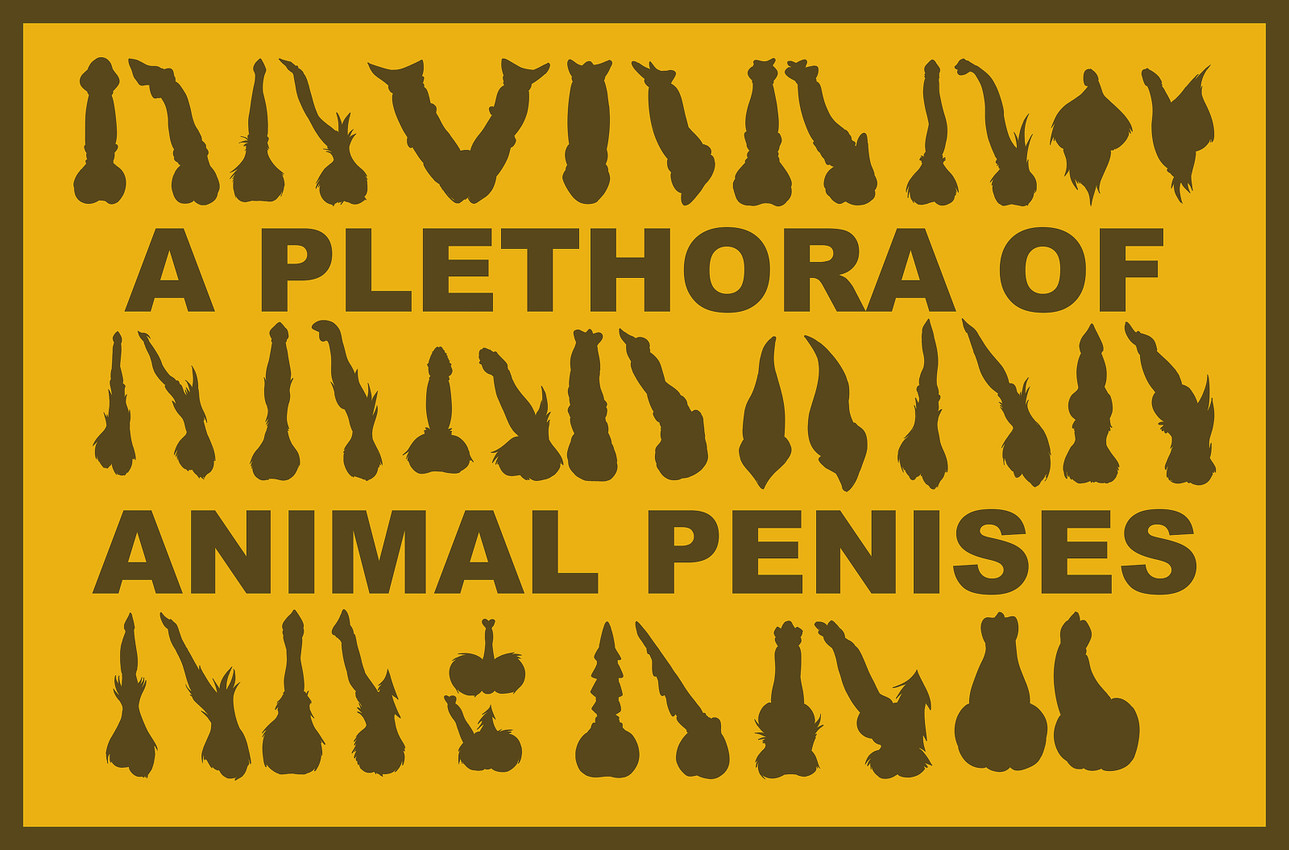 a plethora of penises created by kaiza teira