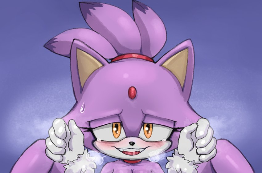 blaze the cat (sonic the hedgehog (series) and etc) created by colono