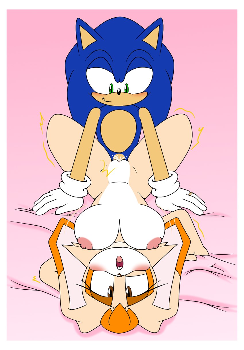 sonic the hedgehog and vanilla the rabbit (sonic the hedgehog (series) and etc) created by sonicguru