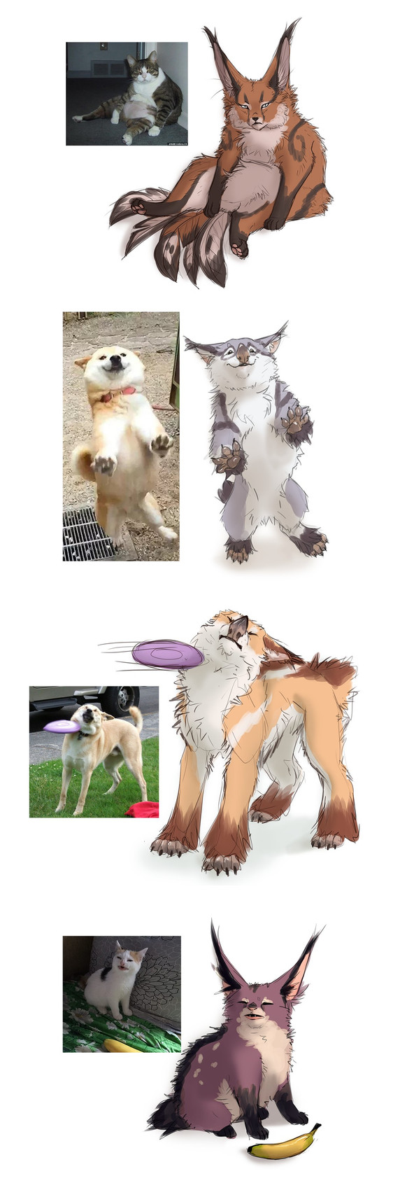 cat no like banana and etc created by lynjox