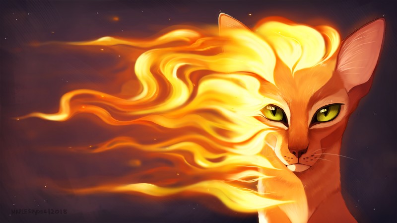 firestar (warriors (book series)) created by maplespyder