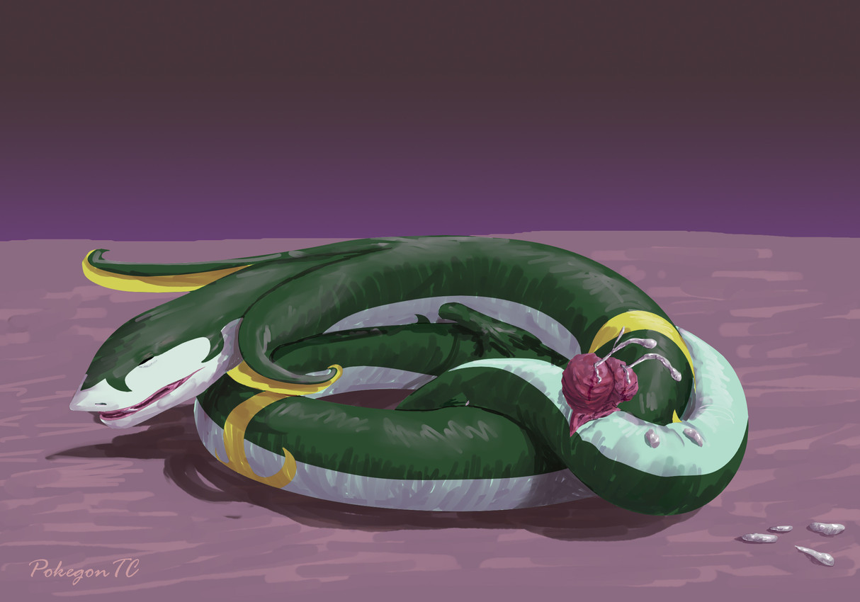 nintendo and etc created by pokegontc