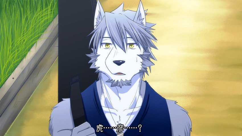 kouya (morenatsu) created by u5rilla ktzk