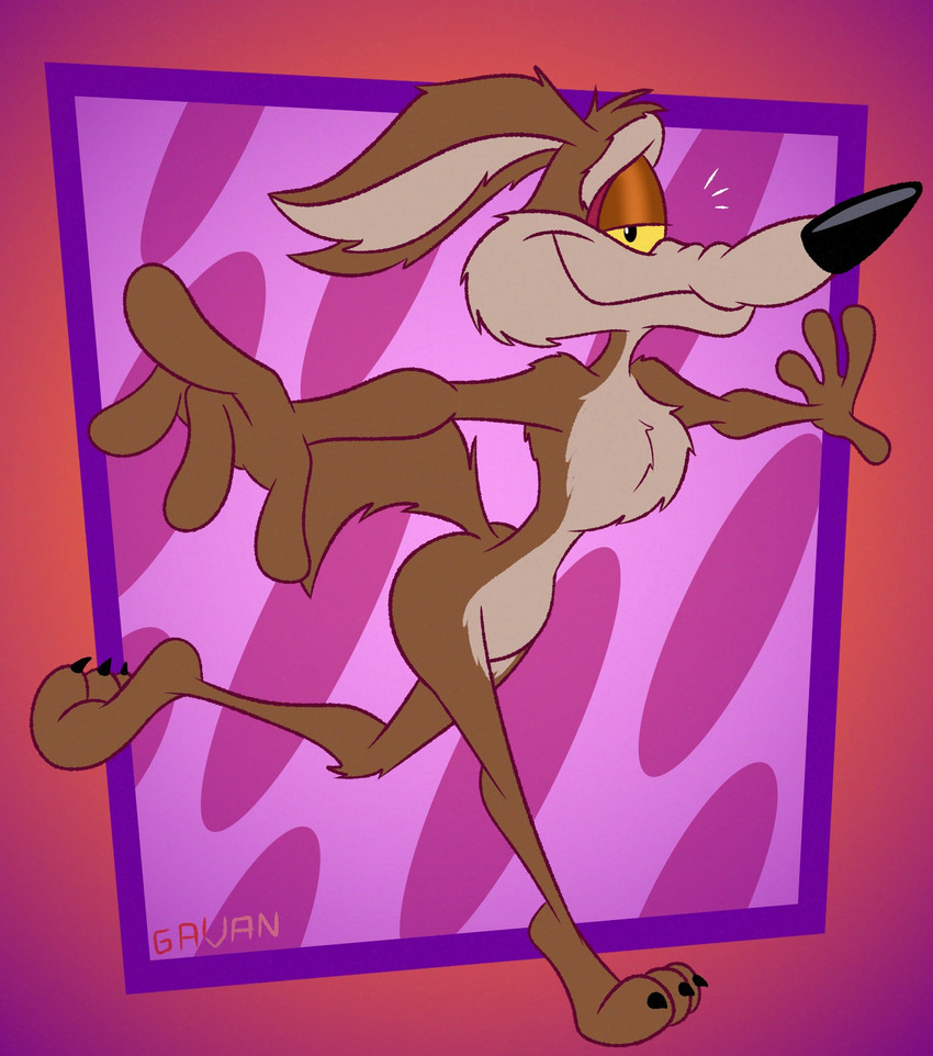 wile e. coyote (warner brothers and etc) created by gavanzude