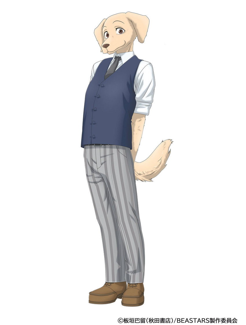 jack (beastars) created by orange co.