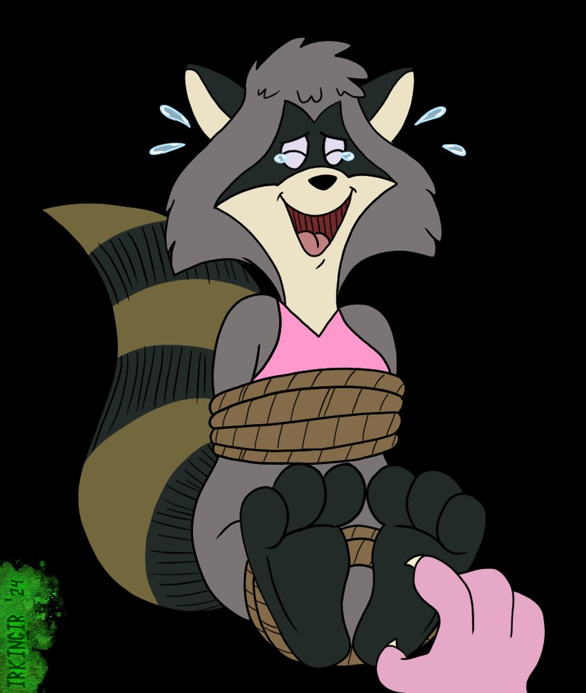 melissa raccoon created by irkingir