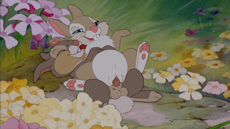 thumper's sister and thumper (bambi (film) and etc) created by the giant hamster