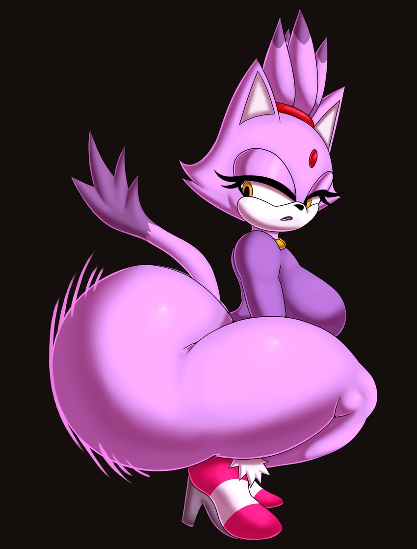 blaze the cat (sonic the hedgehog (series) and etc) created by jakel009