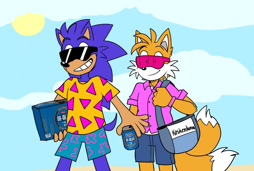 miles prower and sonic the hedgehog (sonic the hedgehog (series) and etc) created by beastofeuthanasia