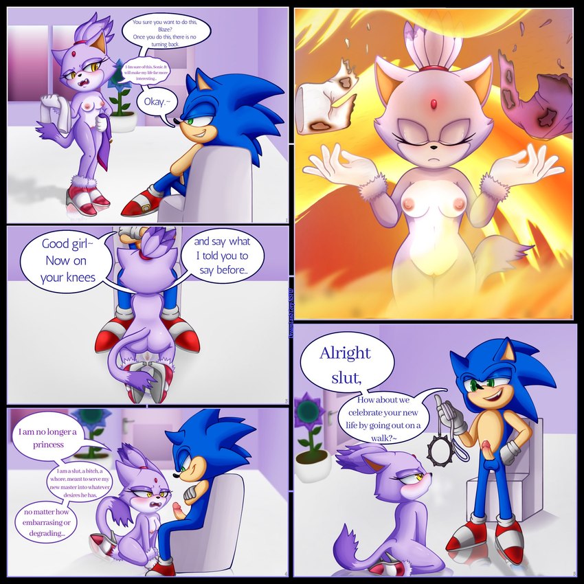 blaze the cat and sonic the hedgehog (sonic the hedgehog (series) and etc) created by dreamlandnsfw