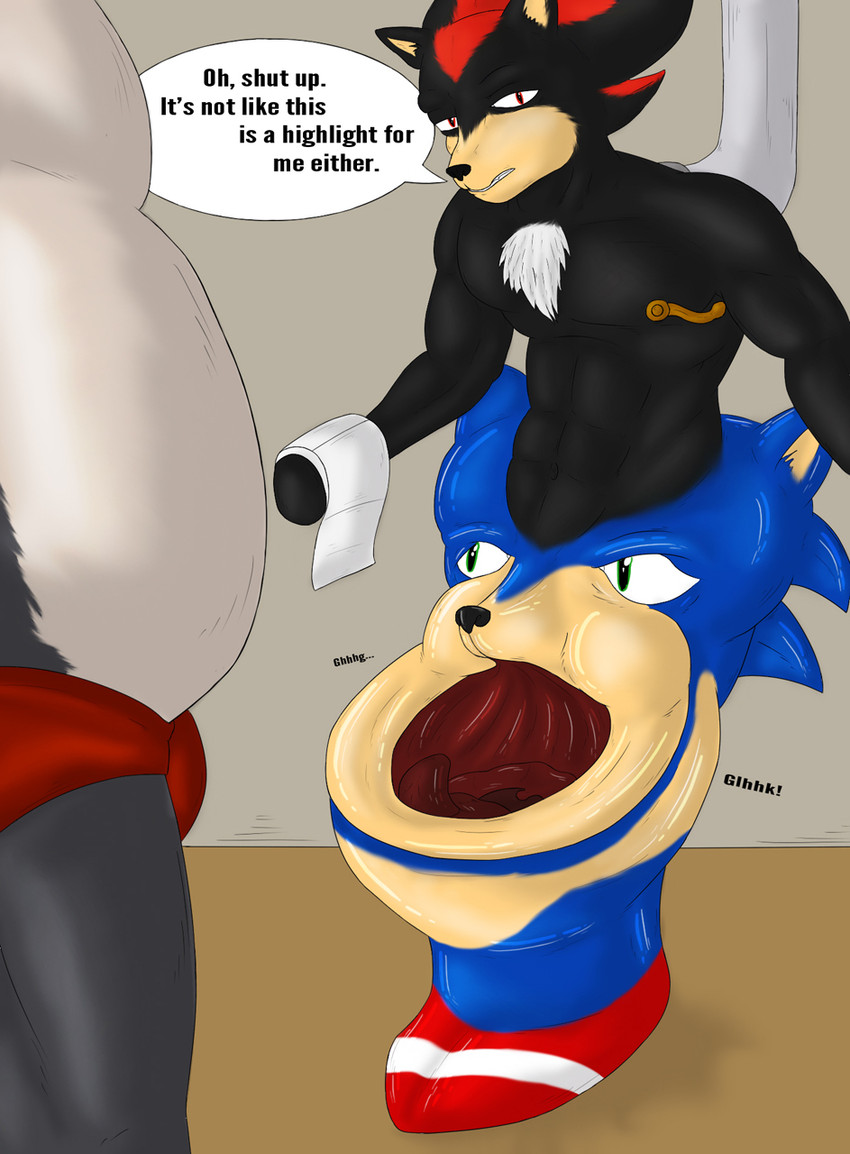 shadow the hedgehog and sonic the hedgehog (sonic the hedgehog (series) and etc) created by unknown artist