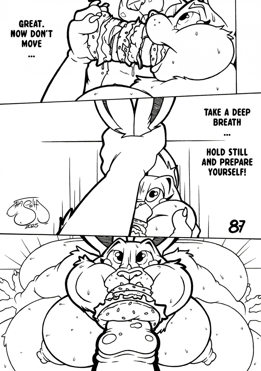 judy hopps and nick wilde (zootopia and etc) created by haseth