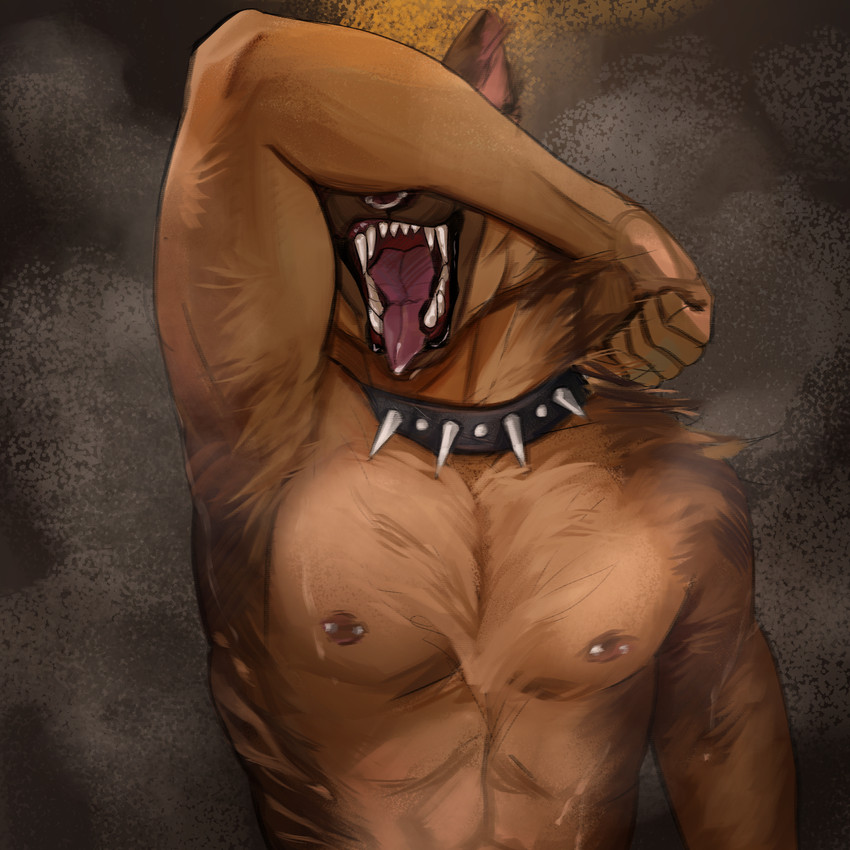 iver league created by besanya