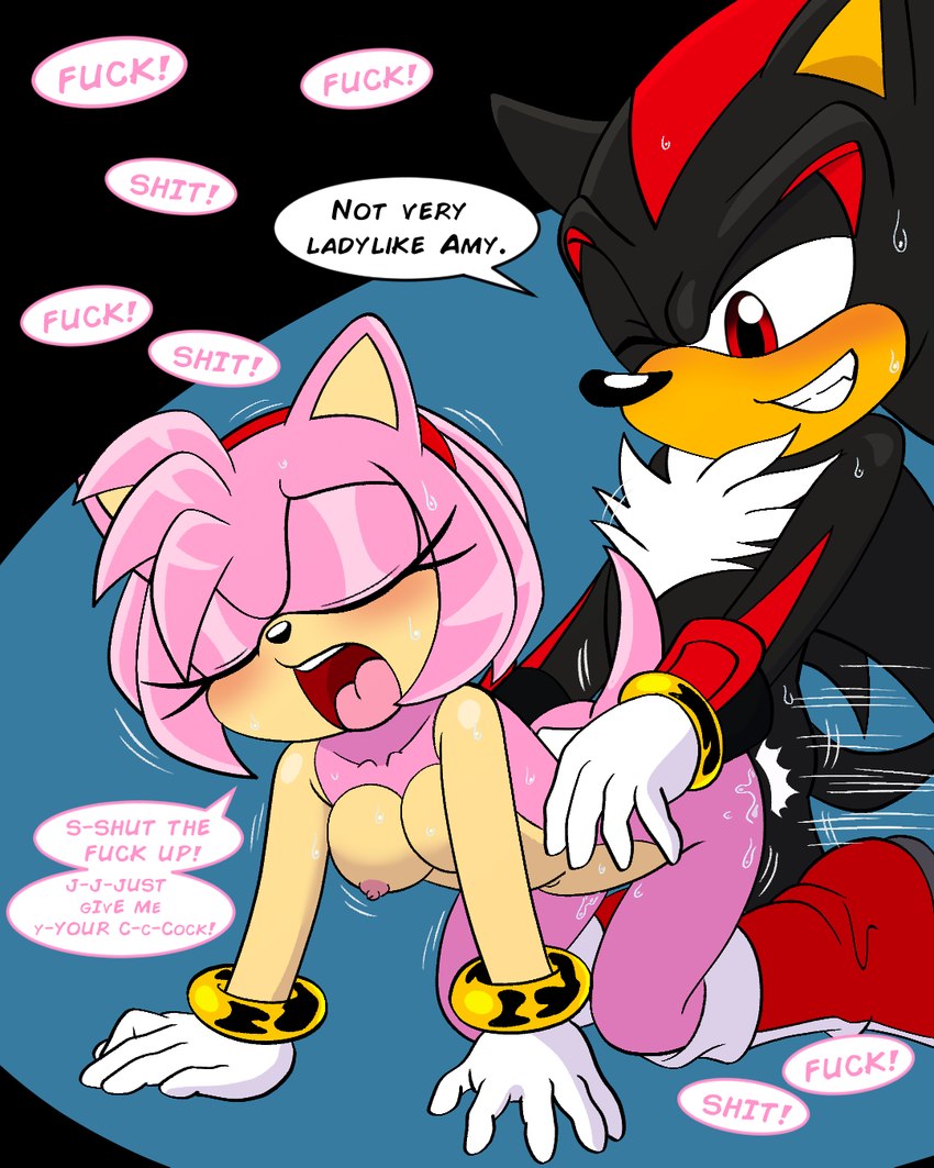 amy rose and shadow the hedgehog (sonic the hedgehog (series) and etc)