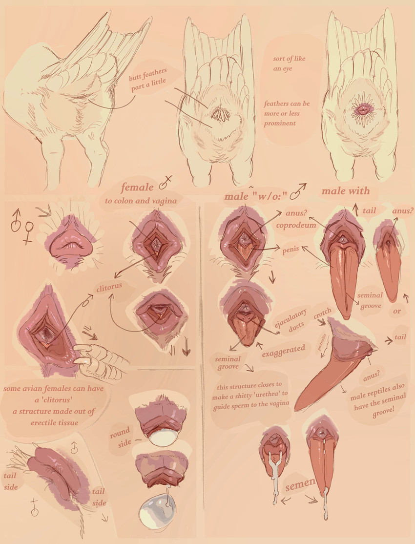 created by aniriteron