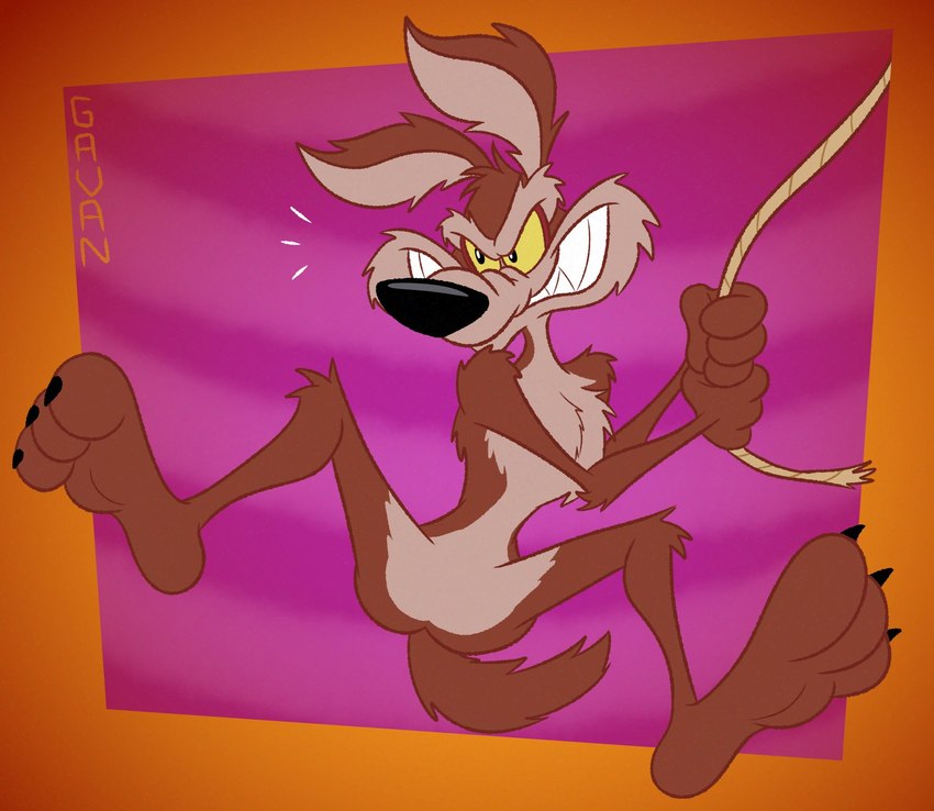 wile e. coyote (warner brothers and etc) created by gavanzude