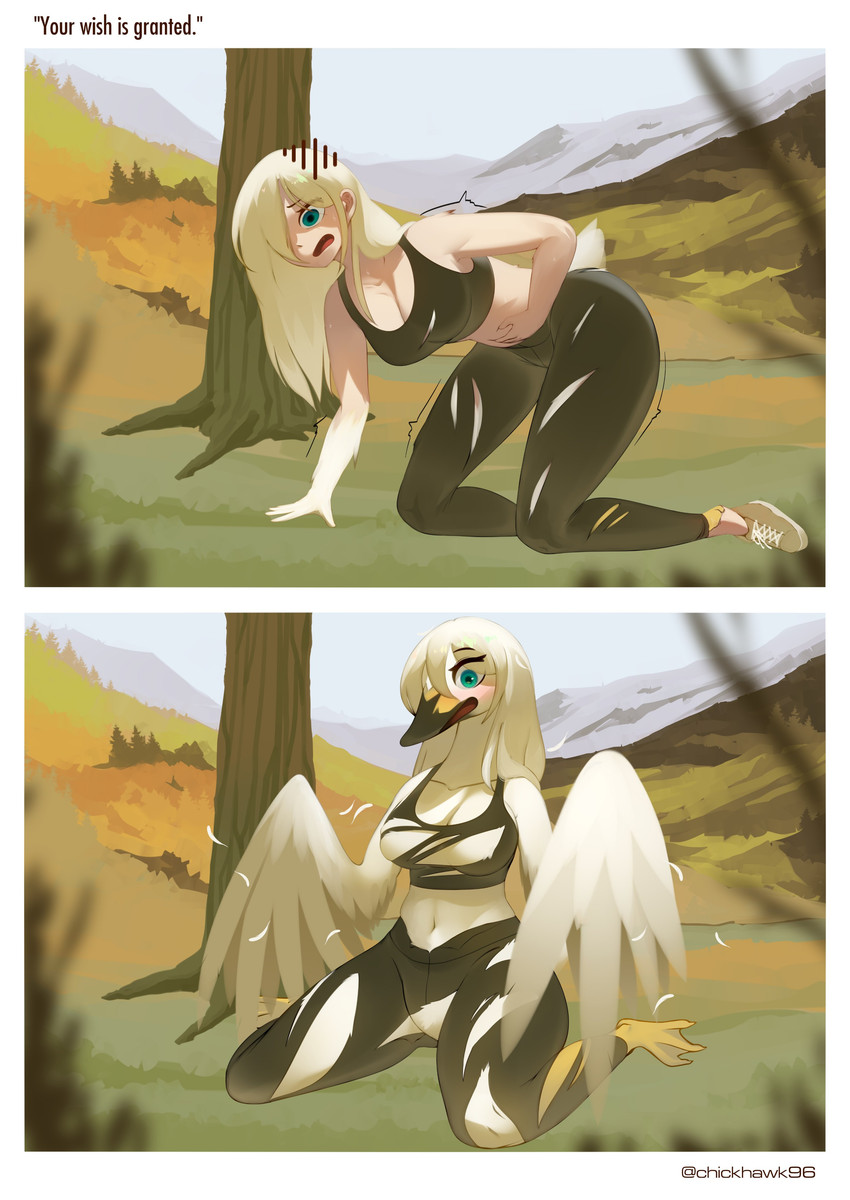 created by chickhawk96