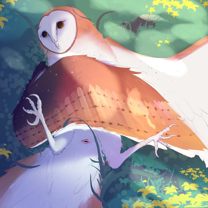 created by barn-owl (artist)