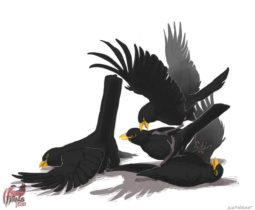 the twelve days of christmas (song) and etc created by sefeiren