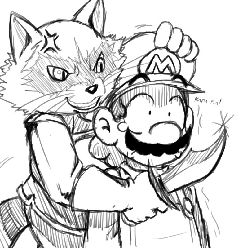 mario and rocket raccoon (guardians of the galaxy and etc) created by sssonic2