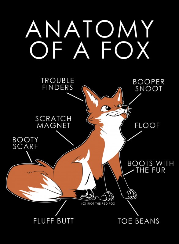 riot the red fox (anatomy of) created by zillion ross