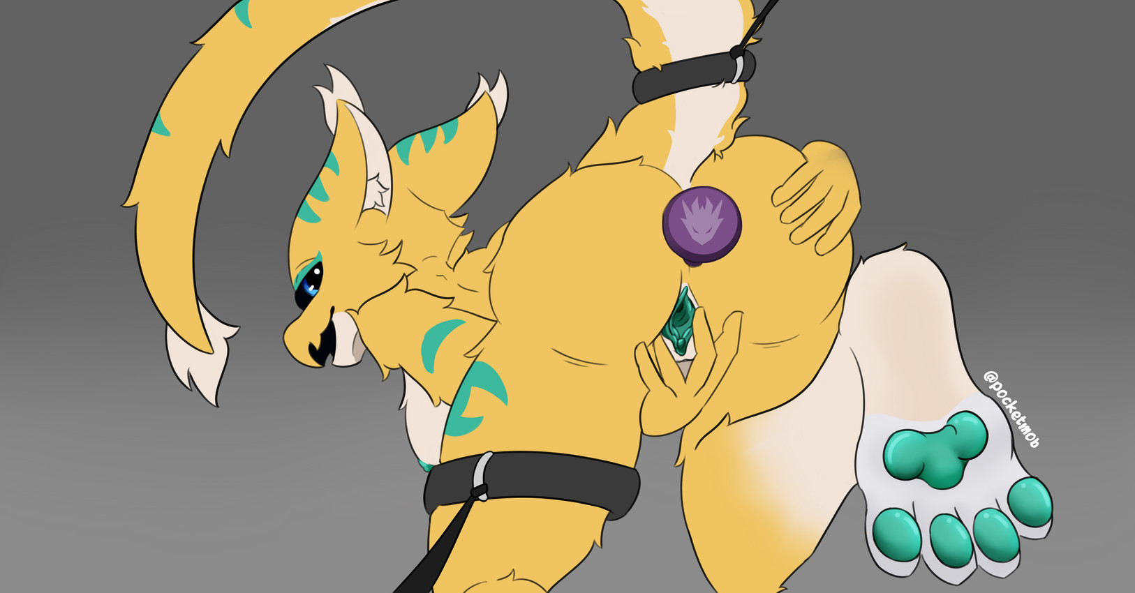 zeta created by pocketmob