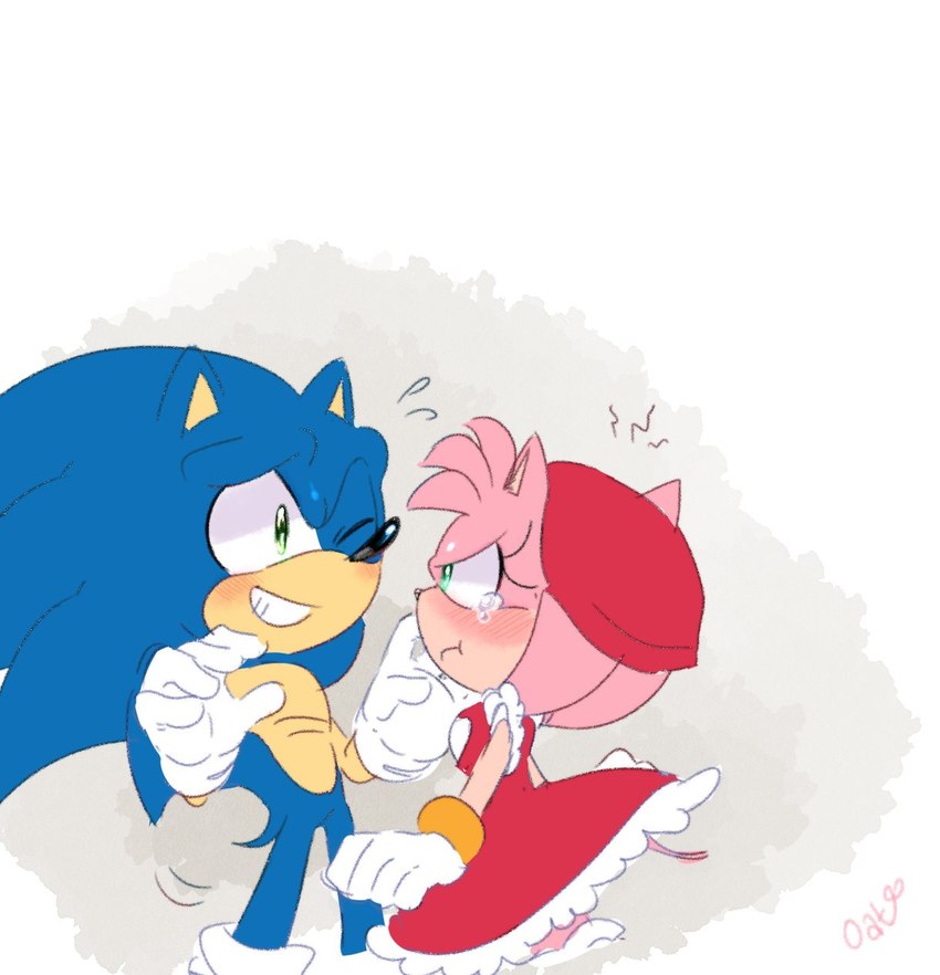 amy rose and sonic the hedgehog (sonic the hedgehog (series) and etc) created by oatumn