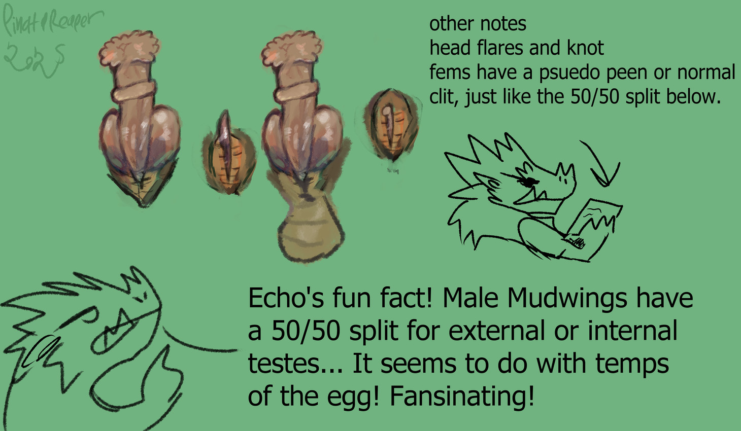 wings of fire and etc created by pinatareaper