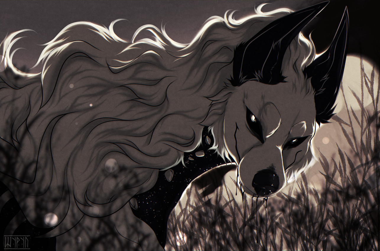 ktyr created by shyryp