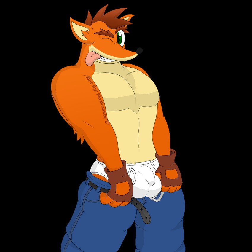 crash bandicoot (crash bandicoot (series) and etc) created by notkastar