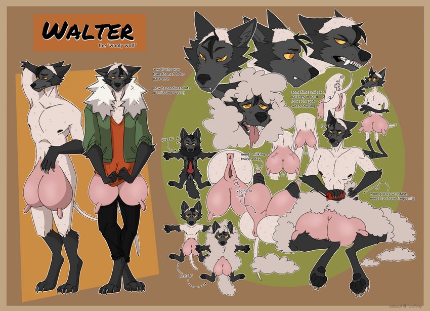 walter created by colorcult