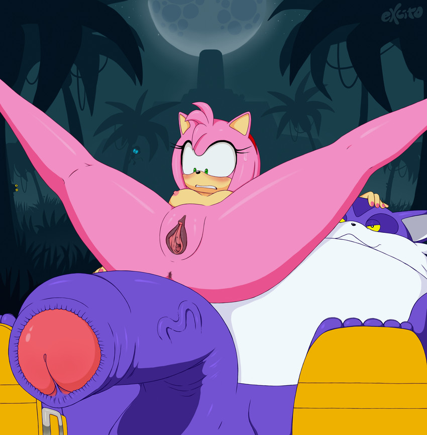 amy rose and big the cat (sonic the hedgehog (series) and etc) created by excito