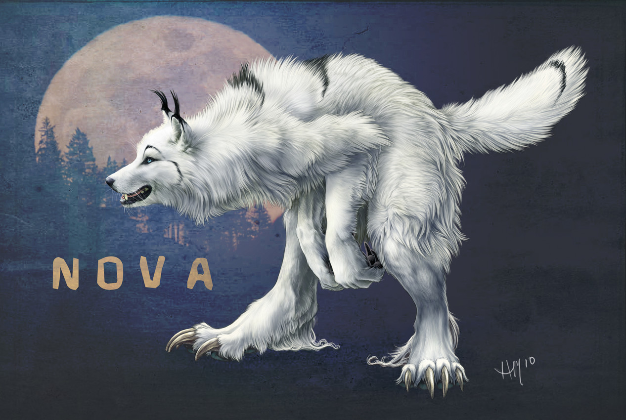 nova created by novawuff