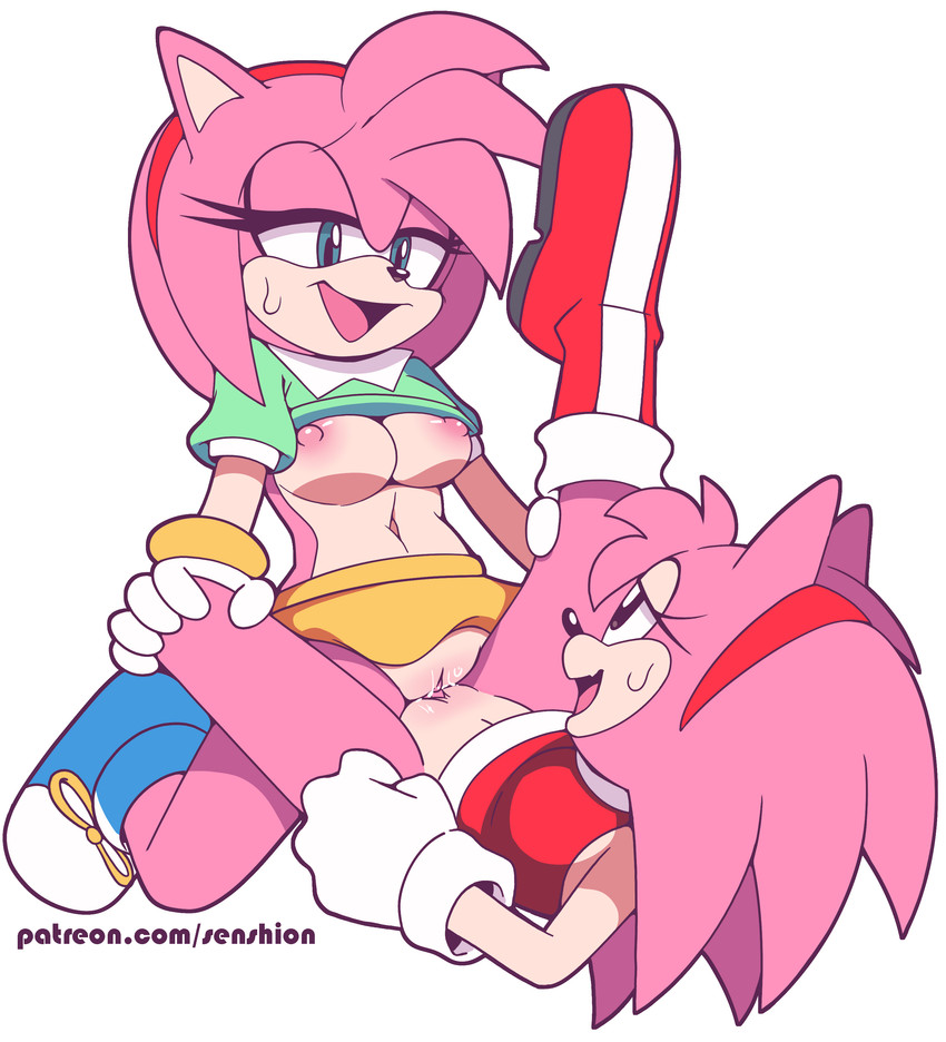 amy rose and classic amy rose (sonic the hedgehog (series) and etc) created by senshion