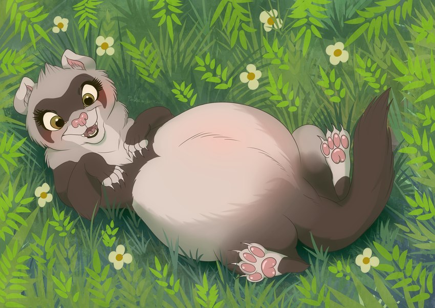 ferret created by black kitty