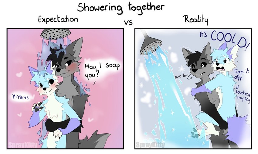 expectation vs reality created by spraykitty