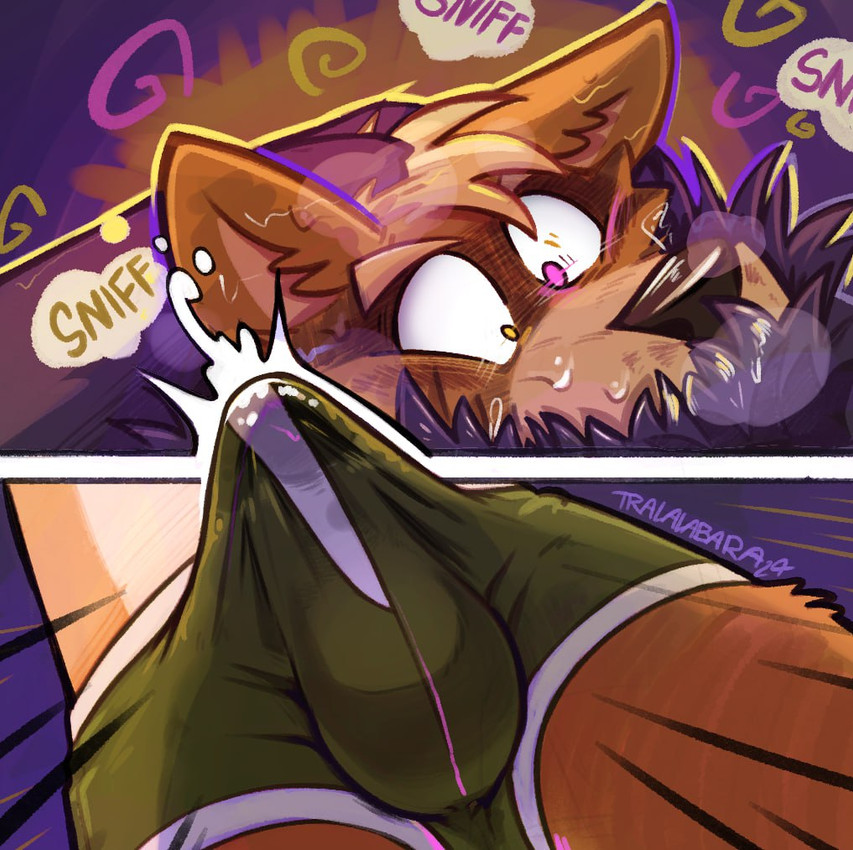 fox mccloud and wolf o'donnell (nintendo and etc) created by haps