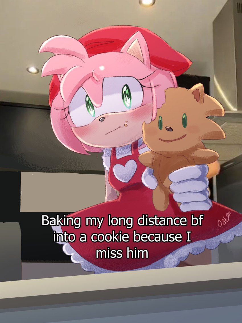 amy rose and sonic the hedgehog (baking my long distance bf into a cookie because i miss him and etc) created by oatumn