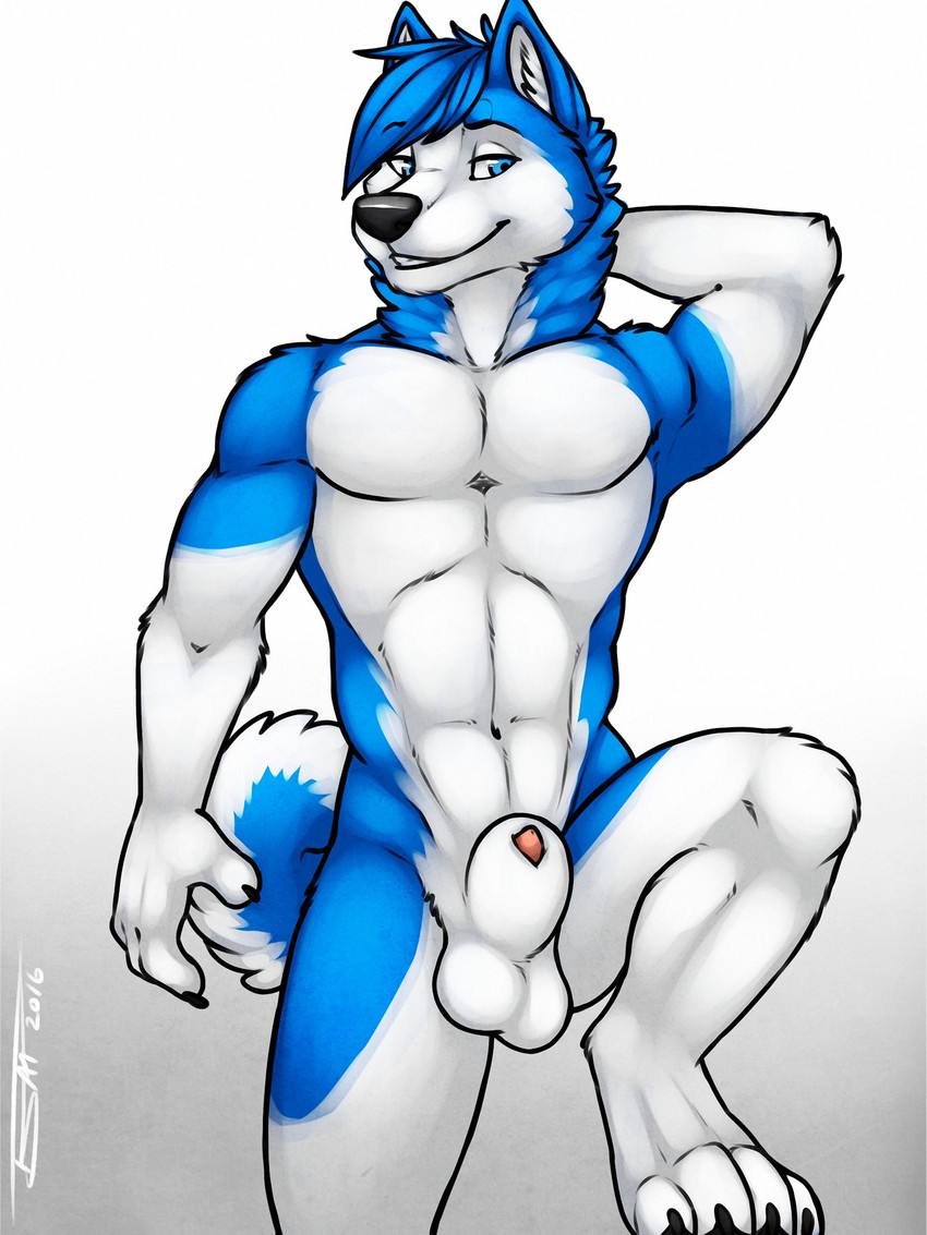 jhusky created by tsaiwolf