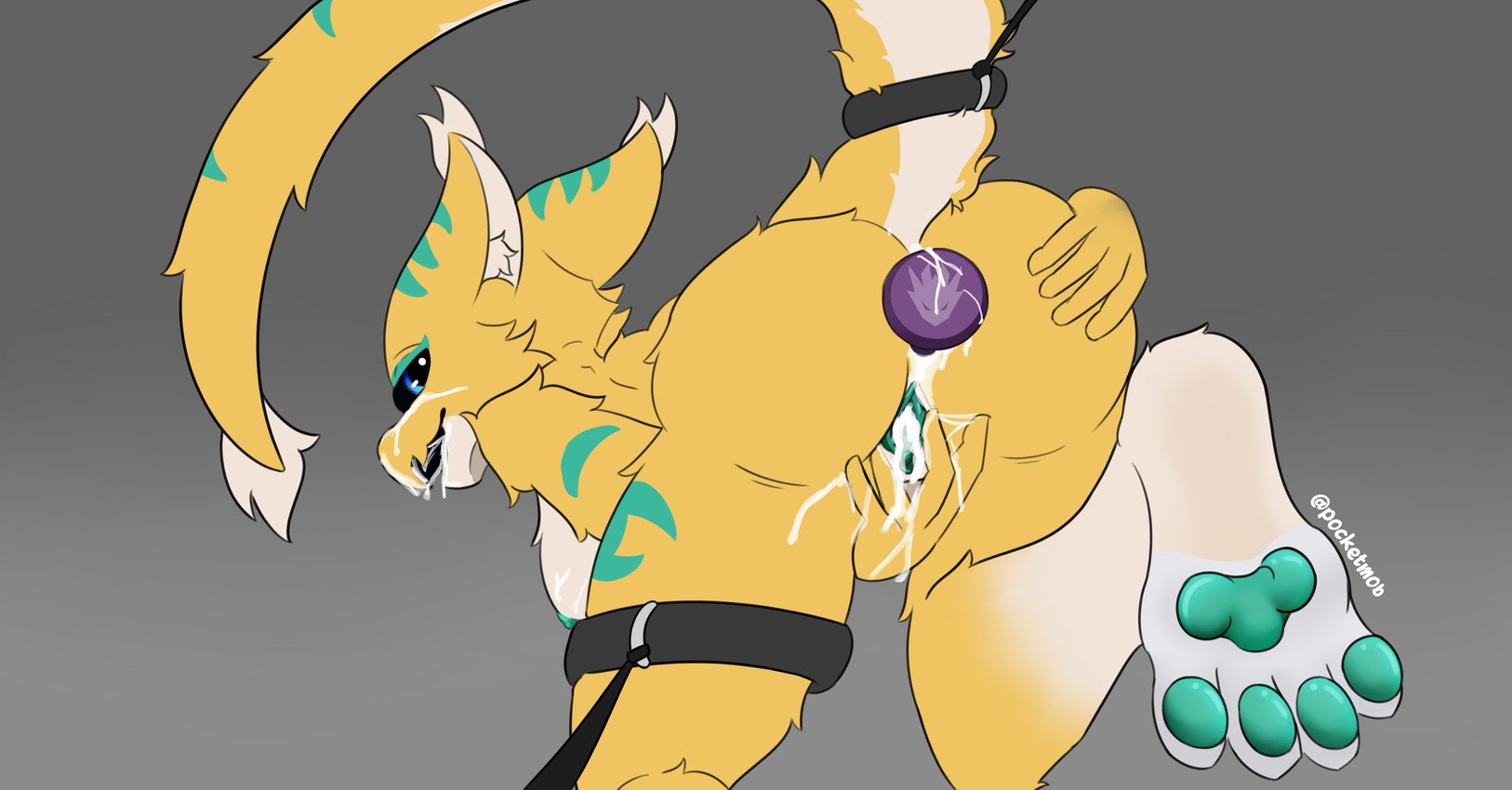 zeta created by pocketmob