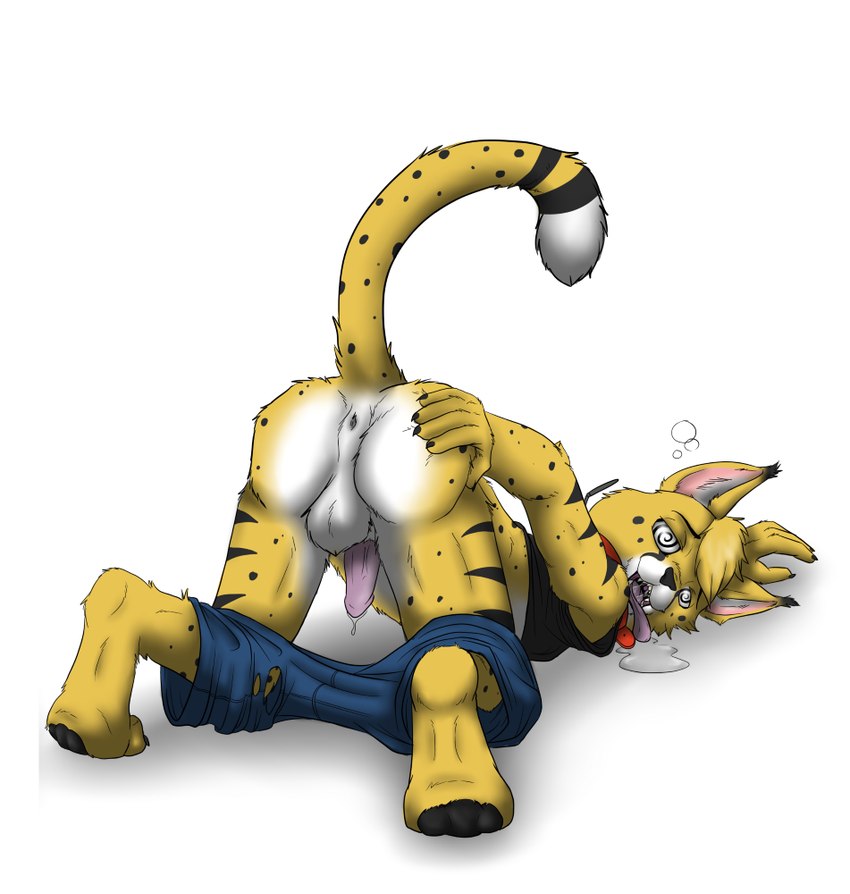 orio created by kitsunedark
