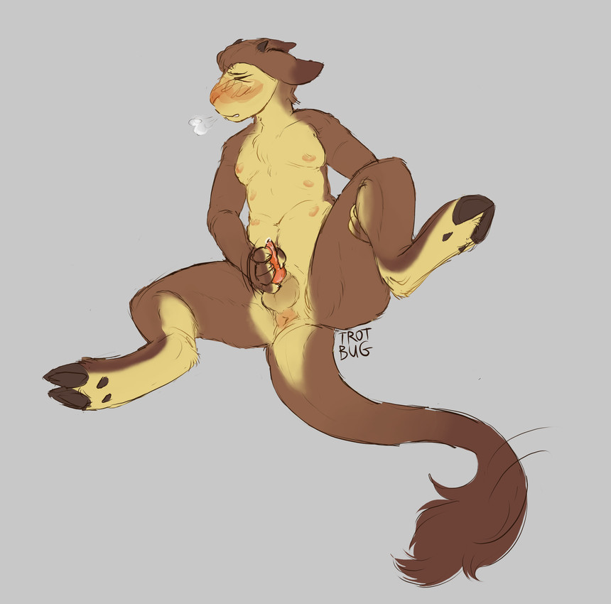 kiwi created by trotbug